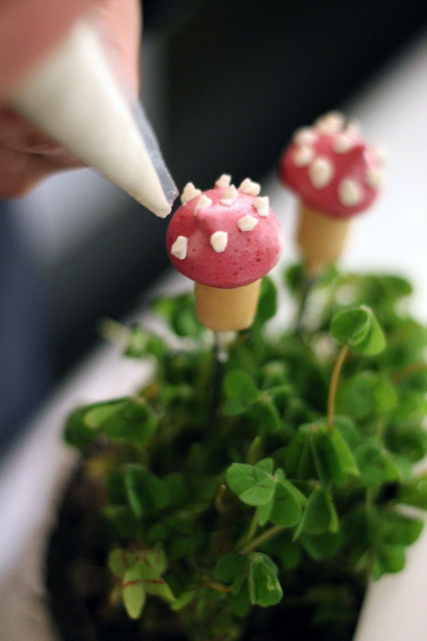 Gruß aus der Küche