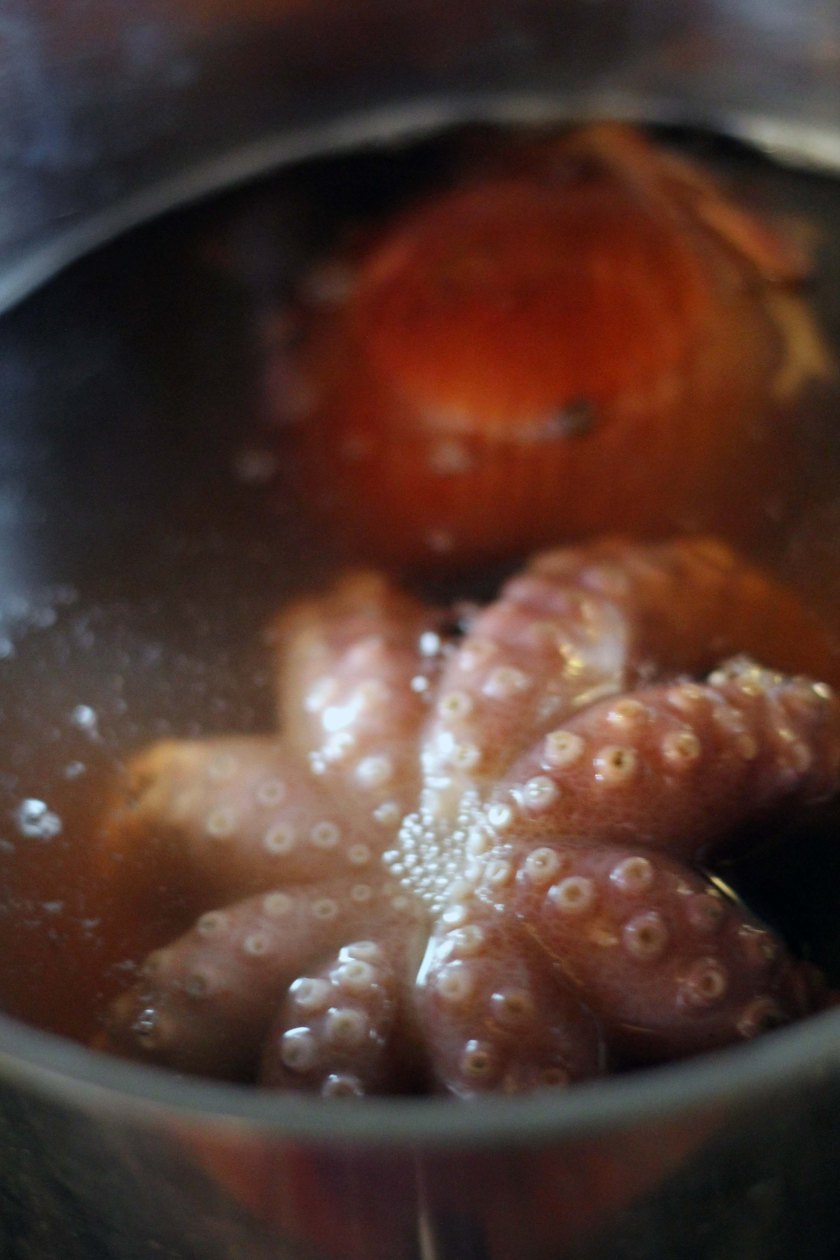 Polvo köchelt im Topf