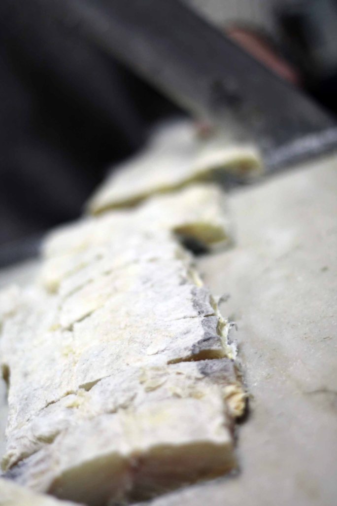 Foto 5_Bianca Gusenbauer