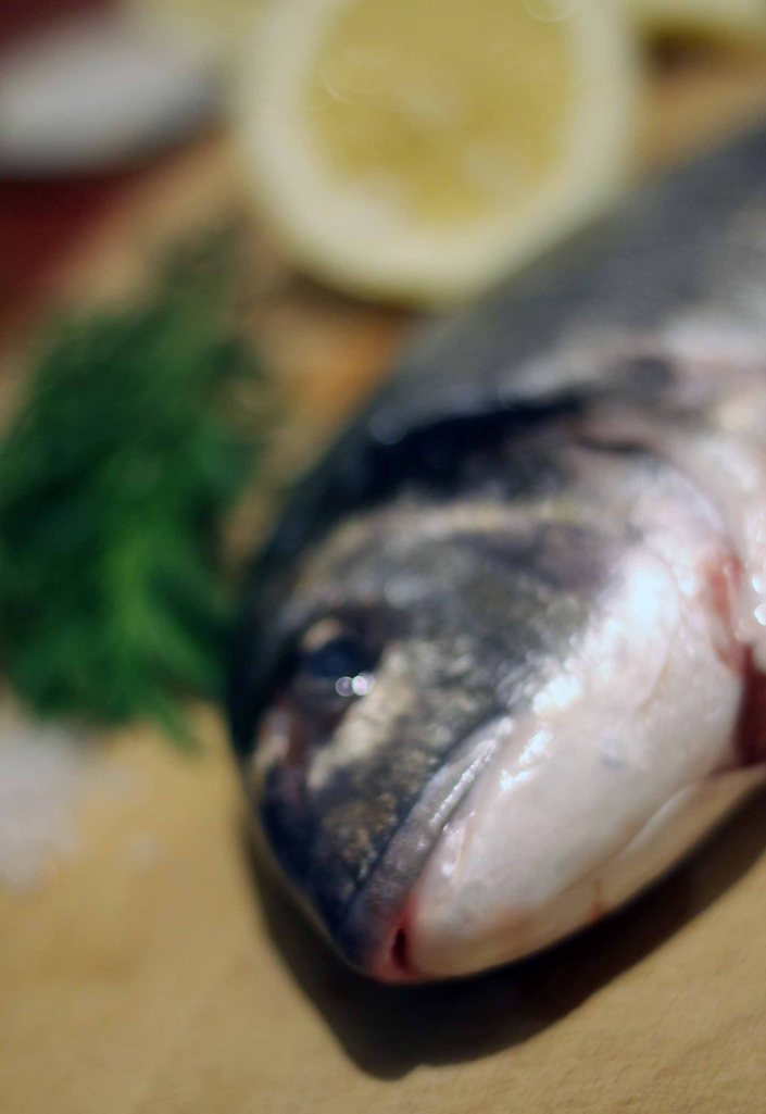 goldbrasse_bianca gusenbauer