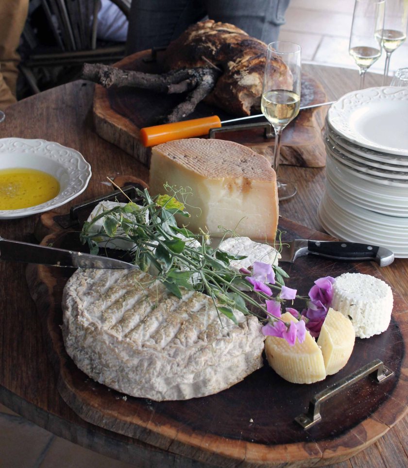 Käse aus den Golan Höhen