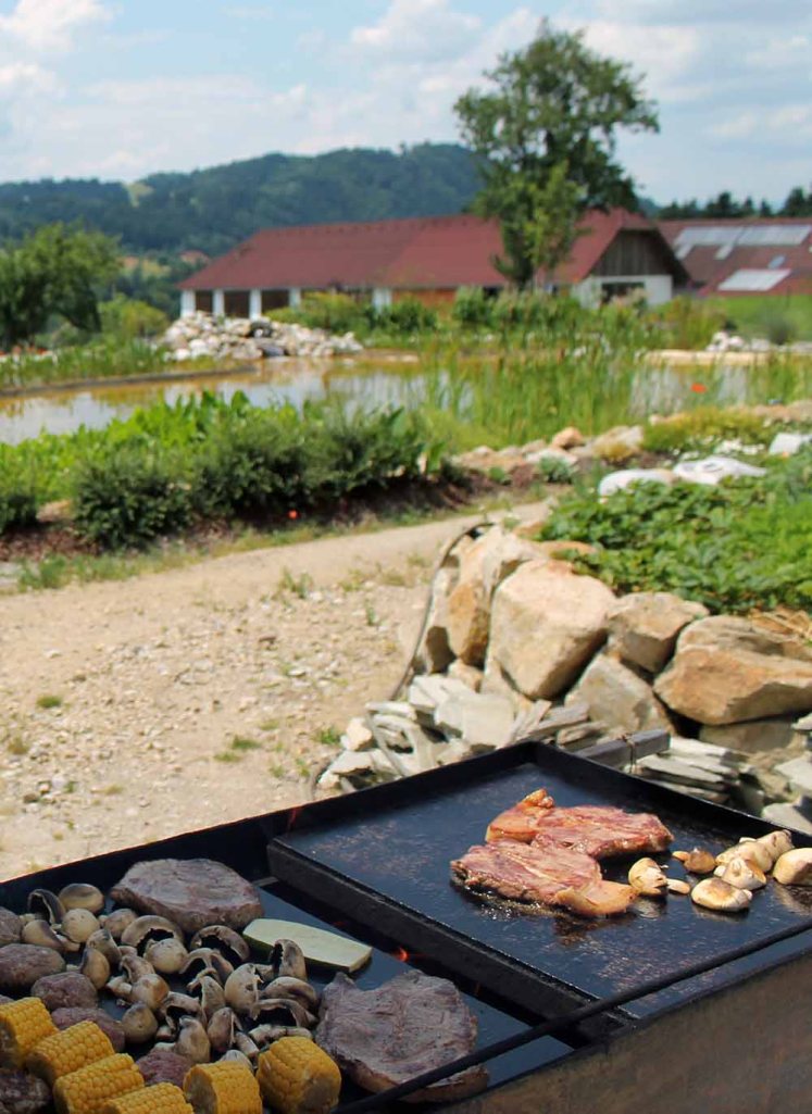 die idyllische Freiluftküche