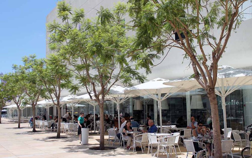 Weiß, hell und laut ist Tel Aviv