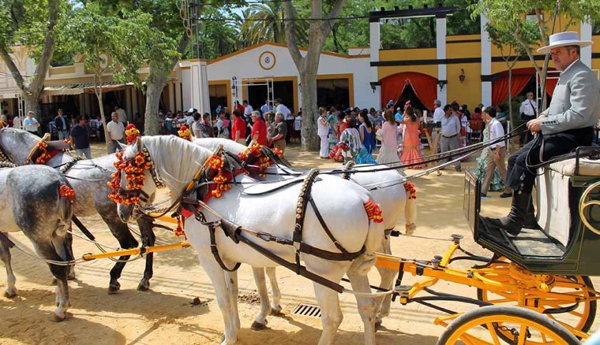 mit der Pferdekutsche kann man das ganze Feria-Gelände abfahren. 
