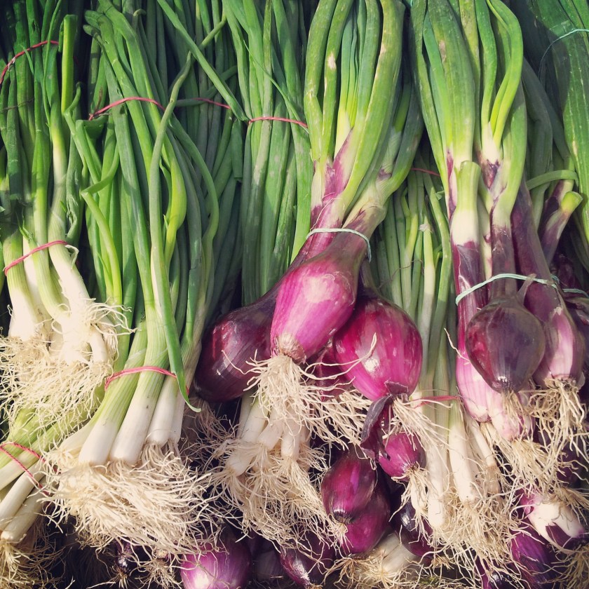 Oktober ist Erntezeit! 