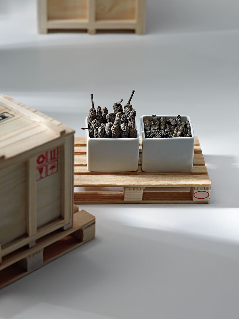 LangpfefferAufmacher69040