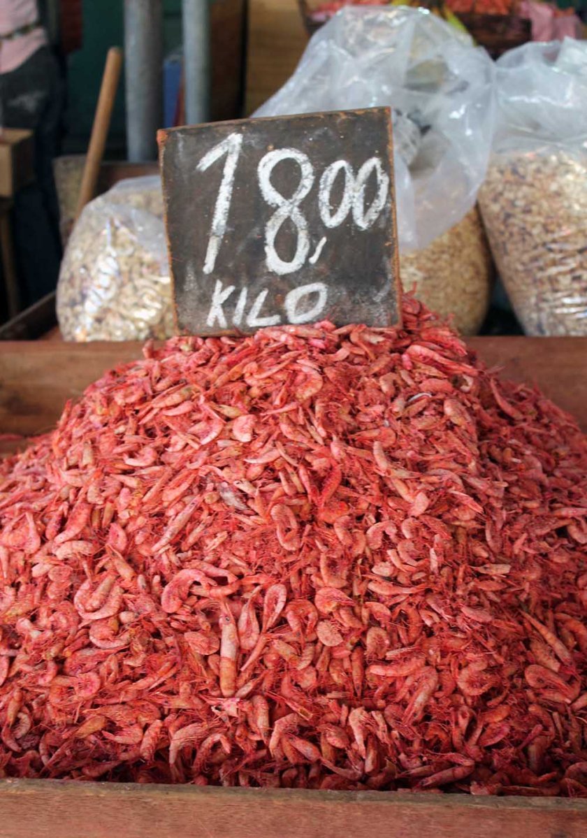 Rosa Protein aus der Zuchtfarm... 