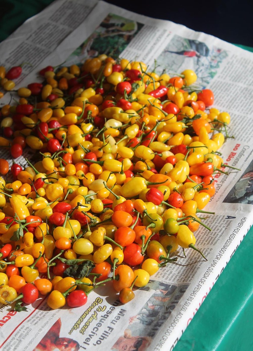 und noch ein paar Hübsche...