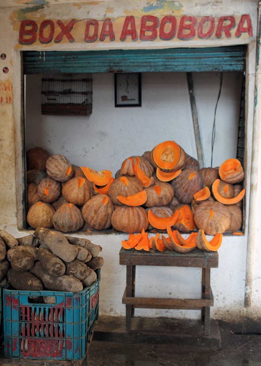 mein absolutes Lieblingsbild vom ganzen Markt!