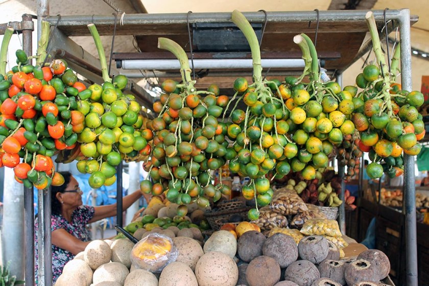 harte, kleine Früchte: Pupunhas