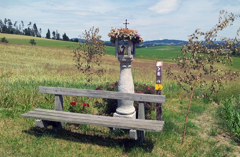 auf meiner Laufroute...