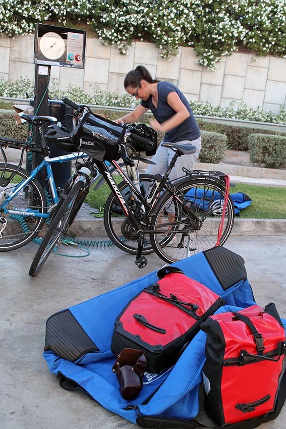 unsere Pferde inkl. Gepäck