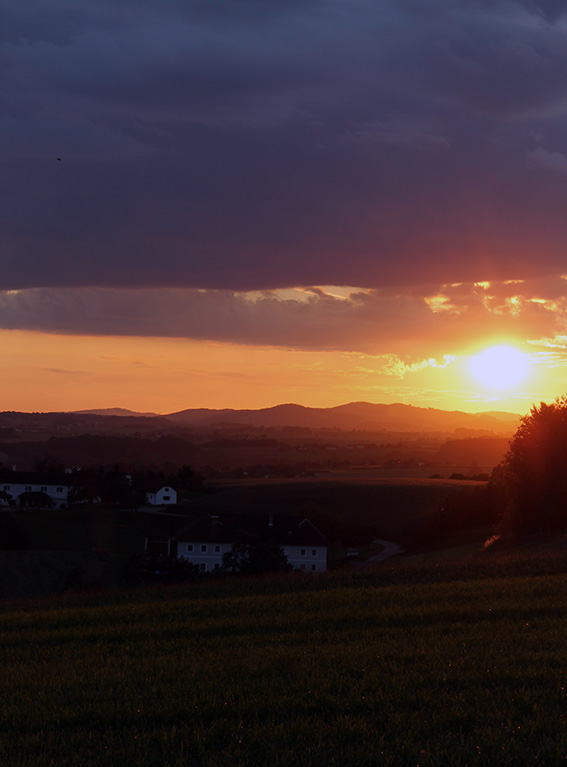 das war nicht heute, aber auch nach einem Regentag im Mühlviertel
