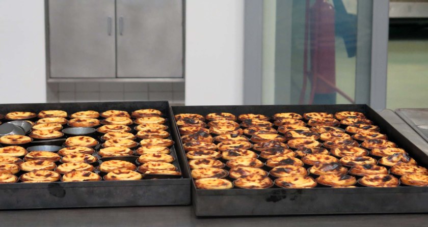 IMG_7548 - Kopie - Kopie