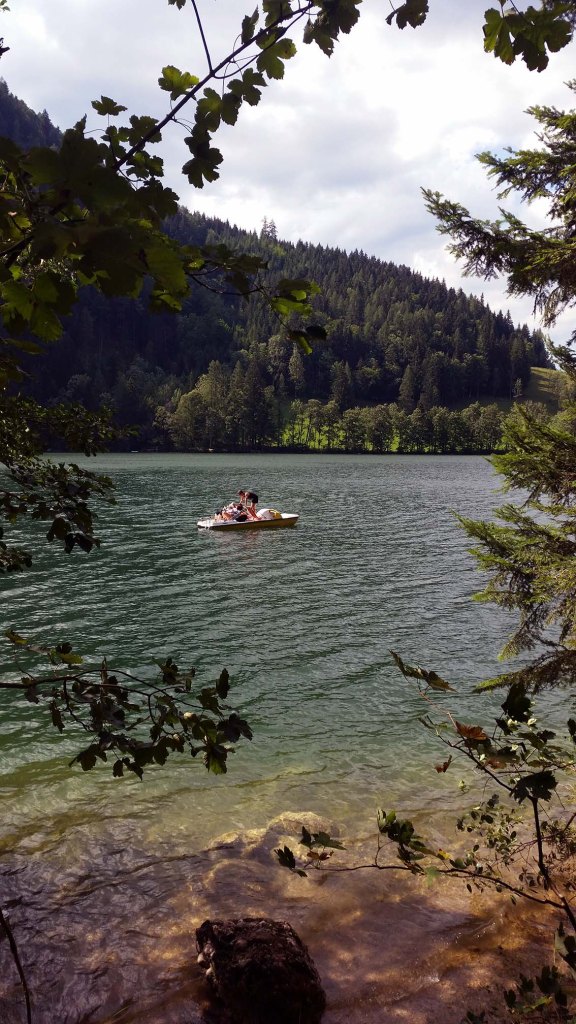 Seeleben am Gleinkersee
