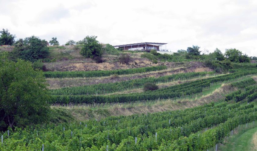 Idyllisch an der Ortseinfahrt von Mollands in den Weinbergen gelegen: die Weinbeisserei
