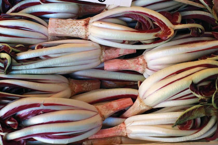 bei dem Anblick möchte ich einfach nur kochen