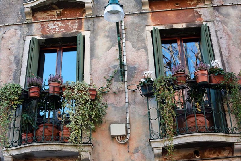 (c) Bianca Gusenbauer (8)