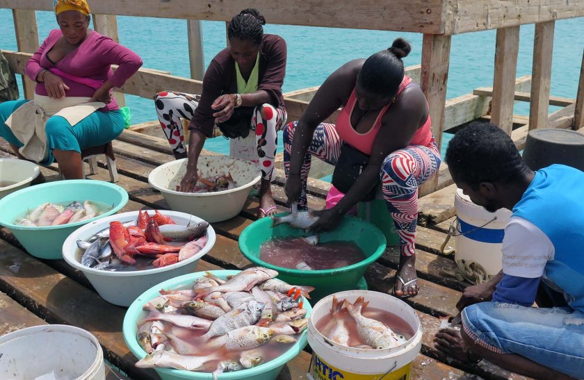 (c) Bianca Gusenbauer (12)