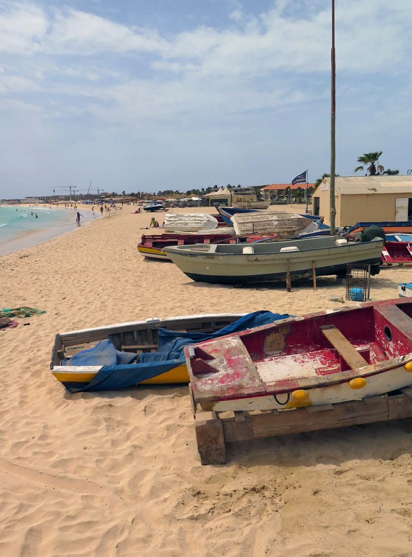 (c) Bianca Gusenbauer (2)