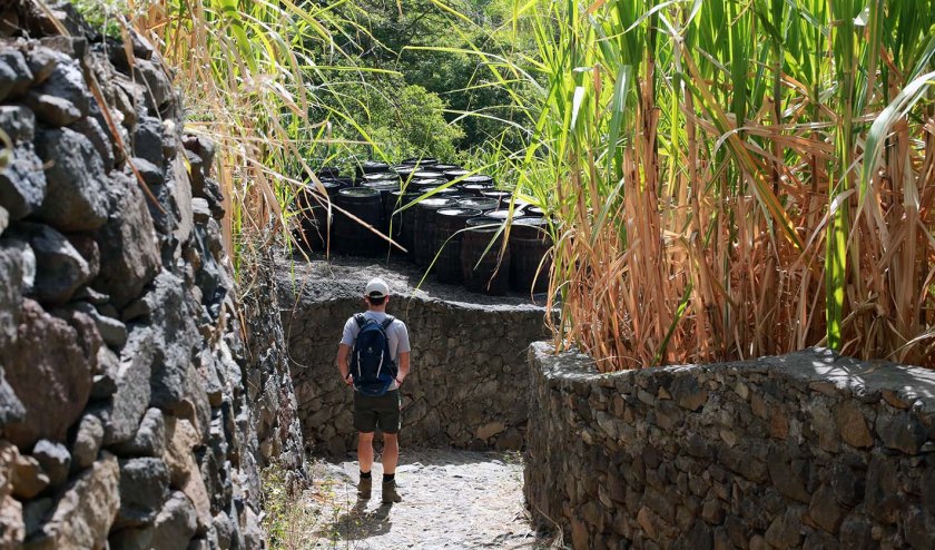 (c) Bianca Gusenbauer (3)