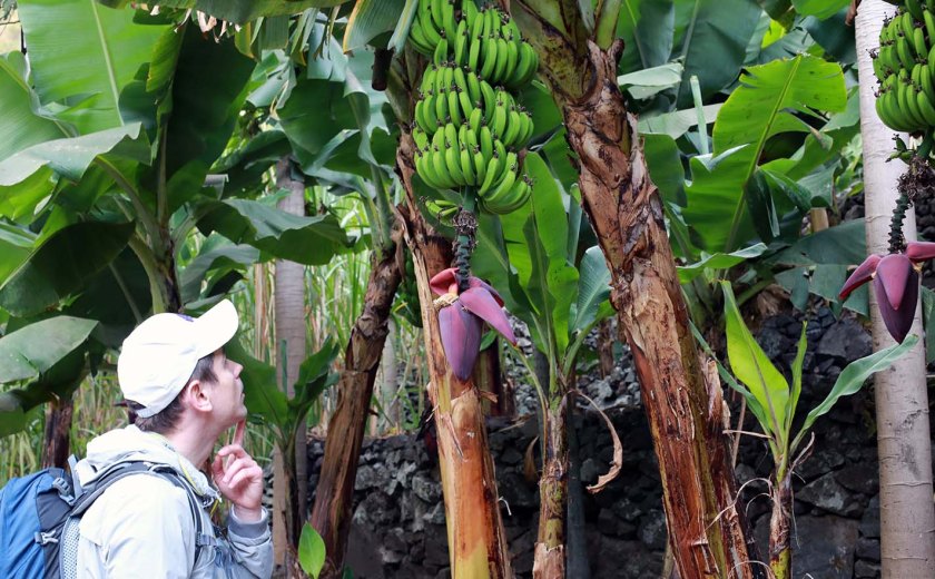 (c) Bianca Gusenbauer (35)