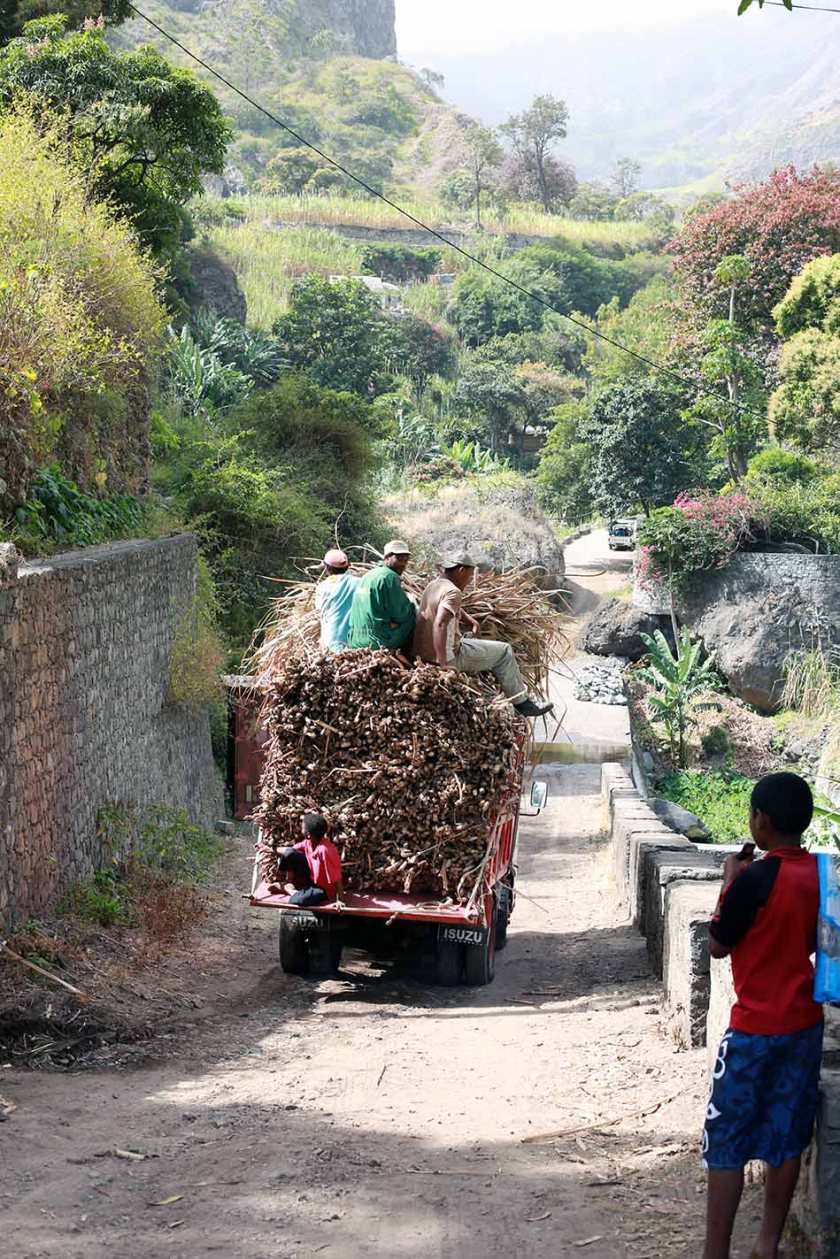 (c) Bianca Gusenbauer (40)