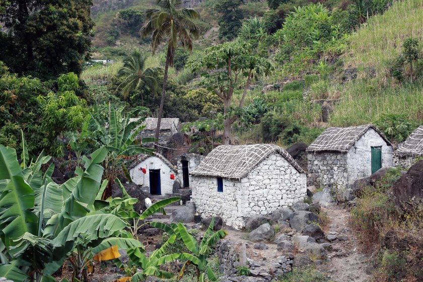 (c) Bianca Gusenbauer (41)