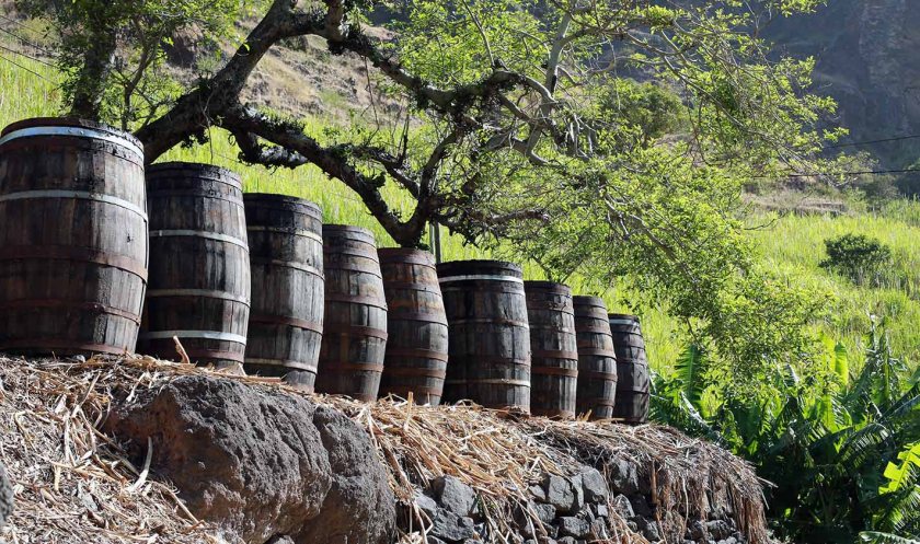 (c) Bianca Gusenbauer (4)