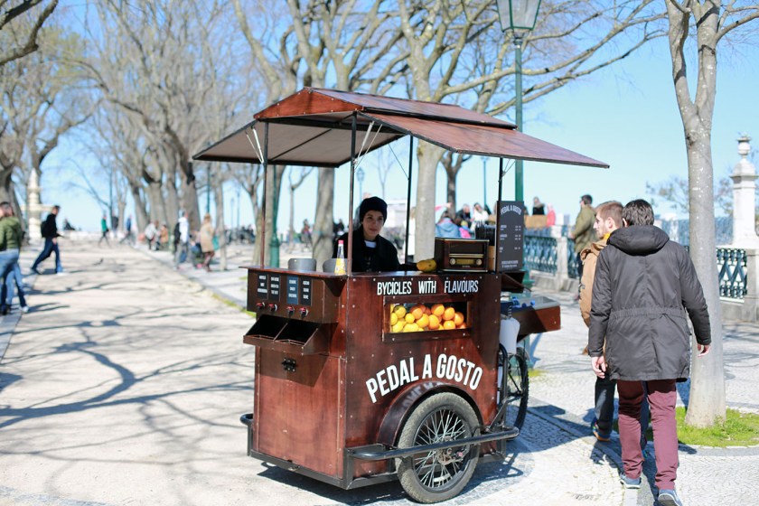 (c) Bianca Gusenbauer (5)