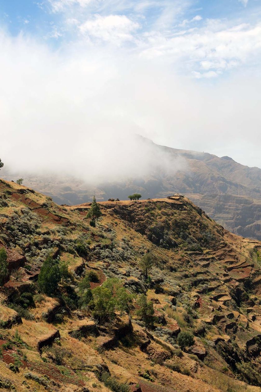 (c) Bianca Gusenbauer (8)