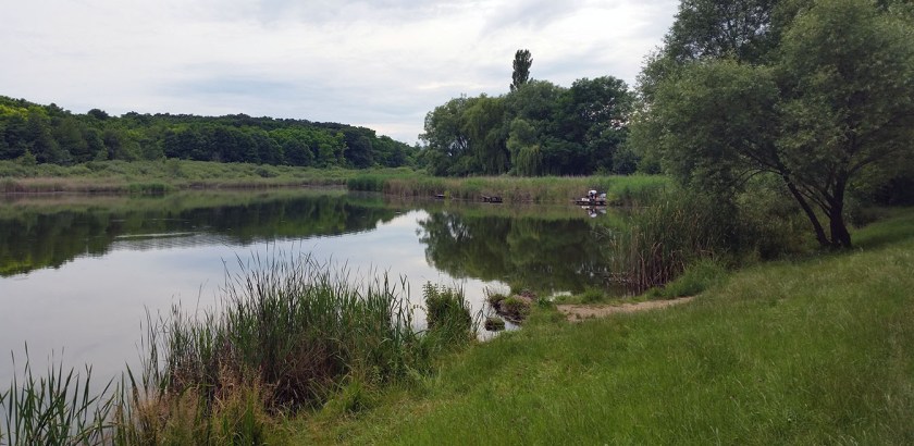 20160619_160903 - Kopie