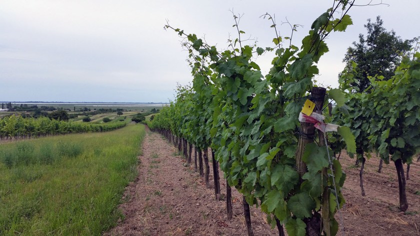 20160619_173750 - Kopie