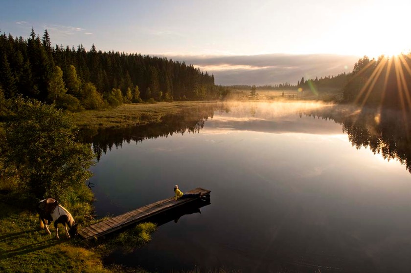 TannerMooor_© OÖ Tourismus_ERBER_low res