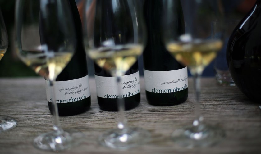 (c) Bianca Gusenbauer (1)