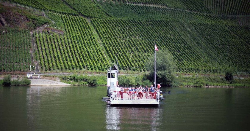 (c) Bianca Gusenbauer (16)