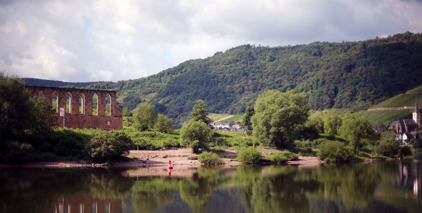 (c) Bianca Gusenbauer (3)