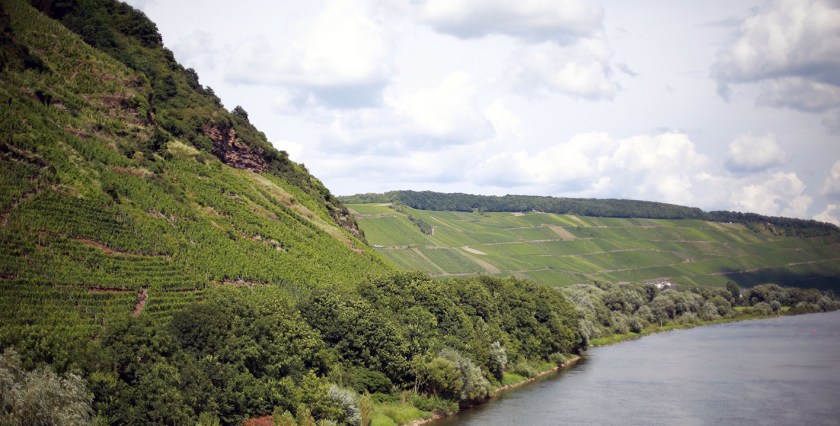 c-bianca-gusenbauer-16