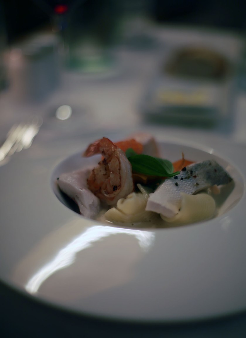 c-bianca-gusenbauer-21