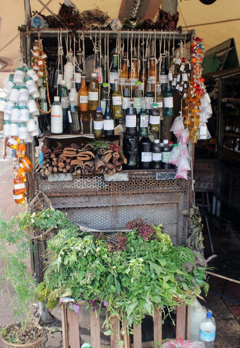 c-bianca-gusenbauer-3