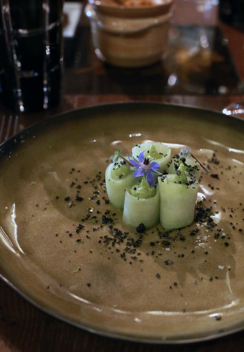 c-bianca-gusenbauer-6