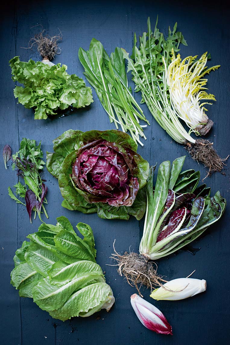 © Manuela Rüther, AT Verlag  www.at-verlag (5)