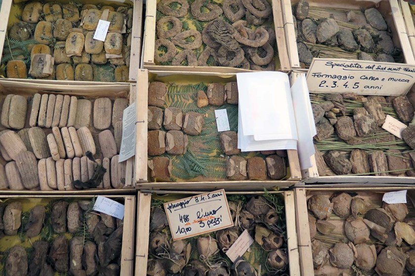 c-bianca-gusenbauer-15