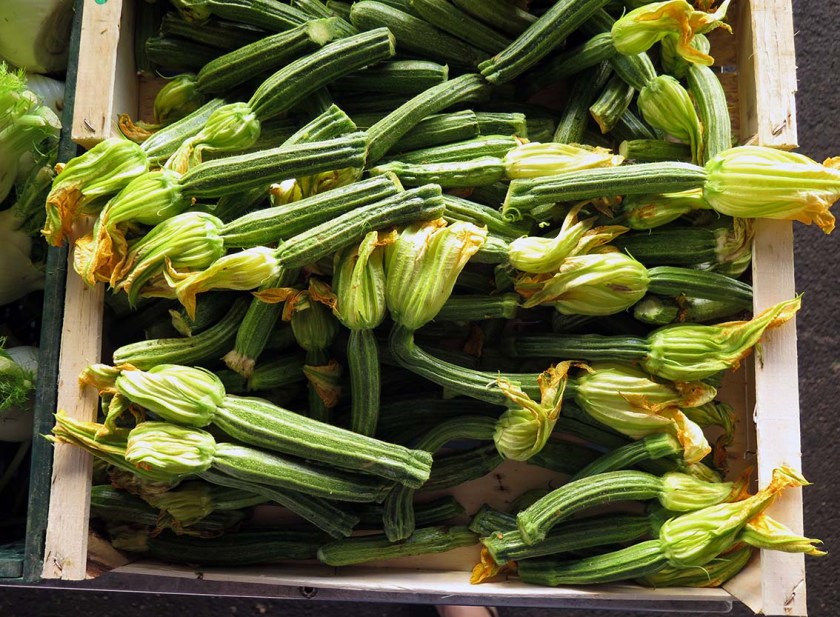 c-bianca-gusenbauer-29