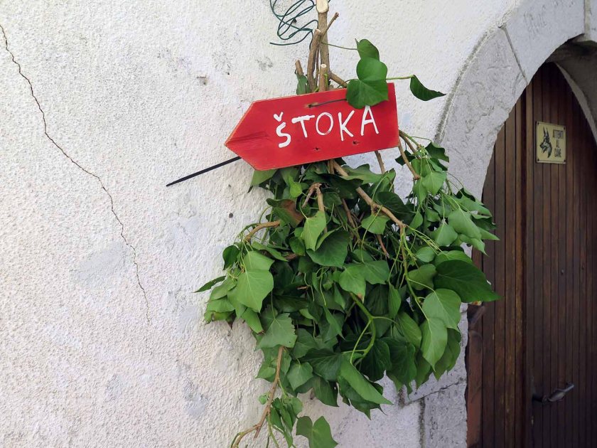 (c) Bianca Gusenbauer (14)