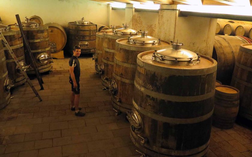 (c) Bianca Gusenbauer (19)