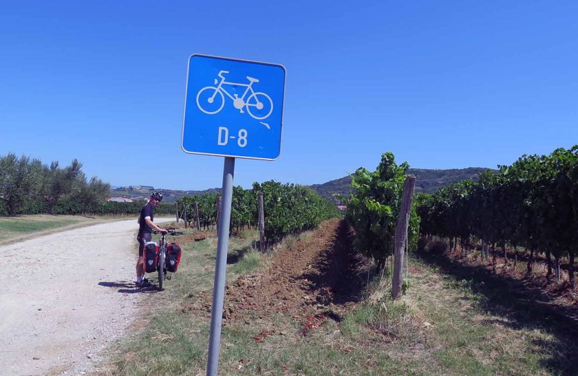 (c) Bianca Gusenbauer (8)