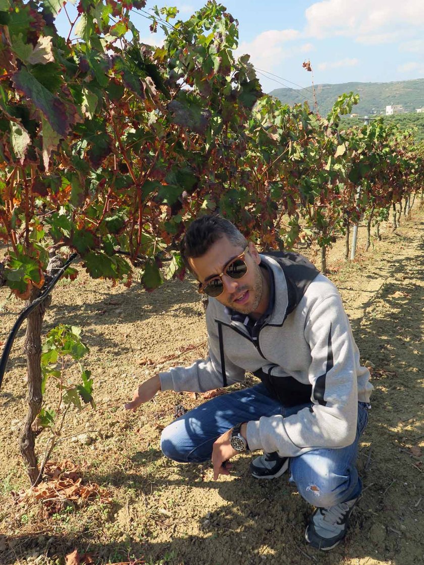 (c) Bianca Gusenbauer (26)