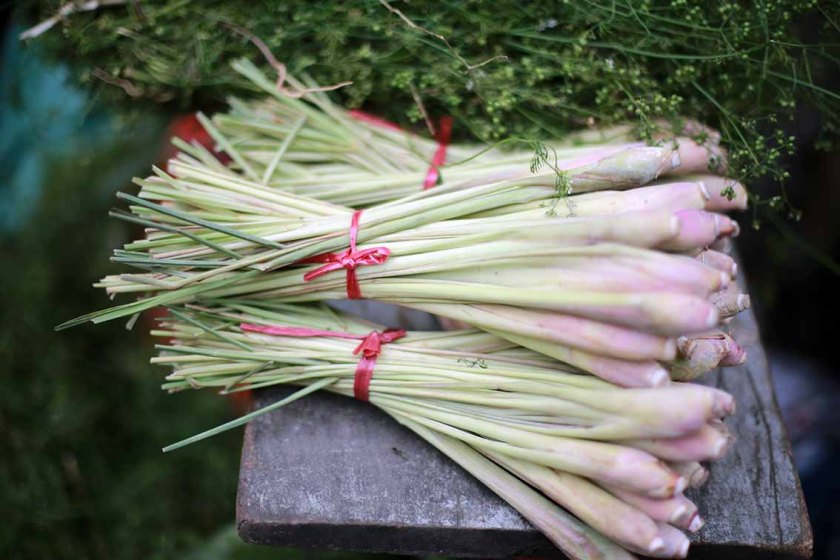 (c) Bianca Gusenbauer-Hoppe (5)