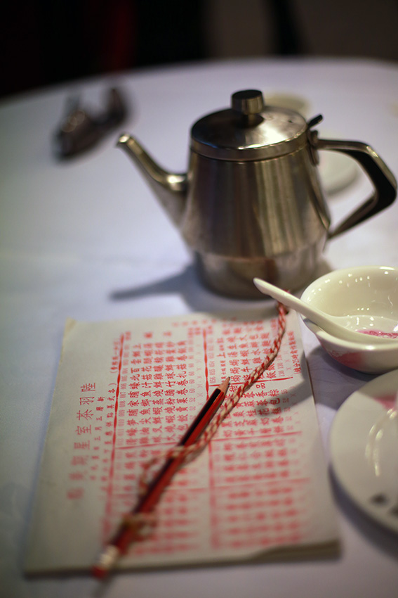 (c) Bianca Gusenbauer-Hoppe (2)